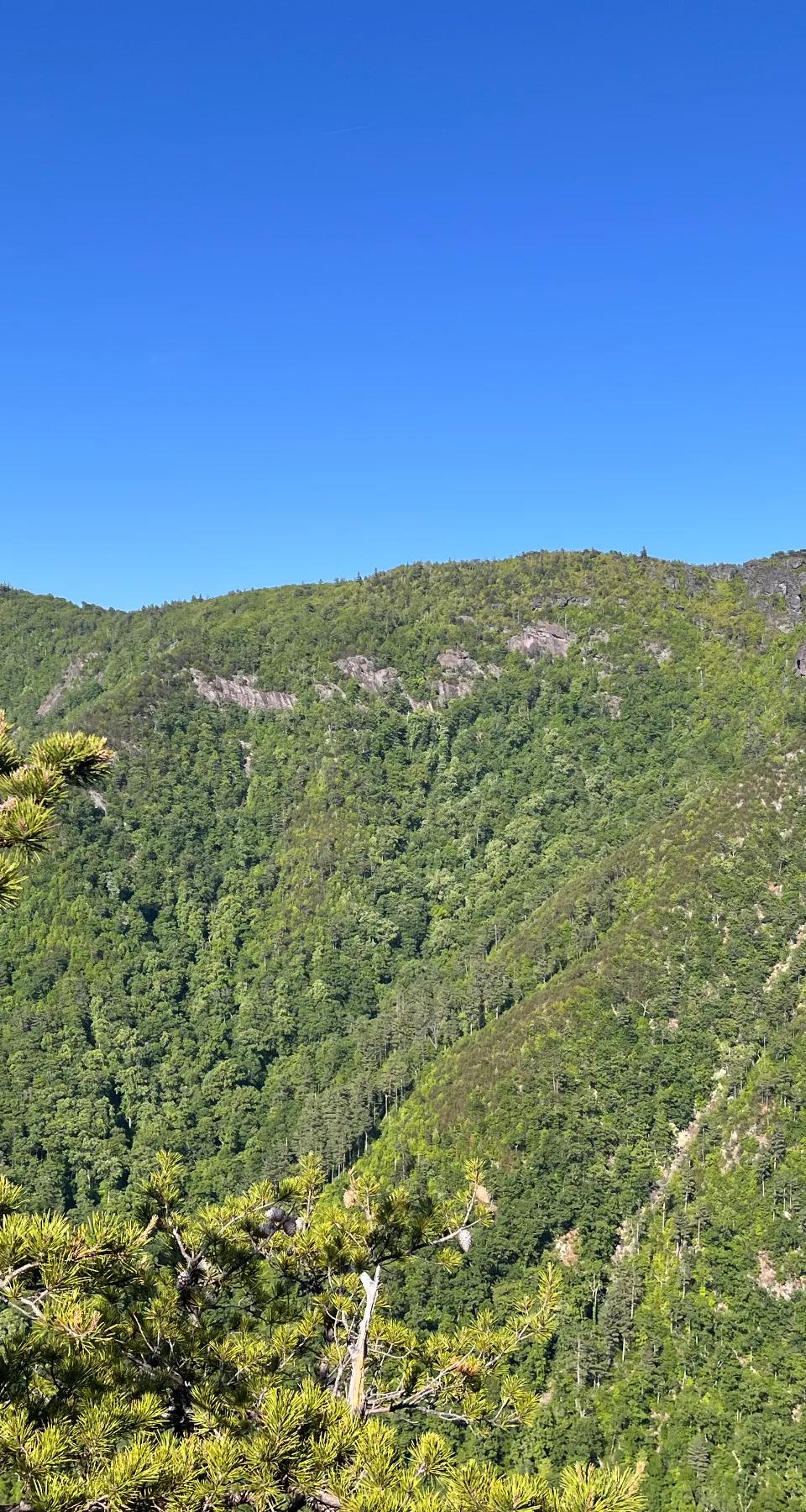 People hiking down a grassy hillside.