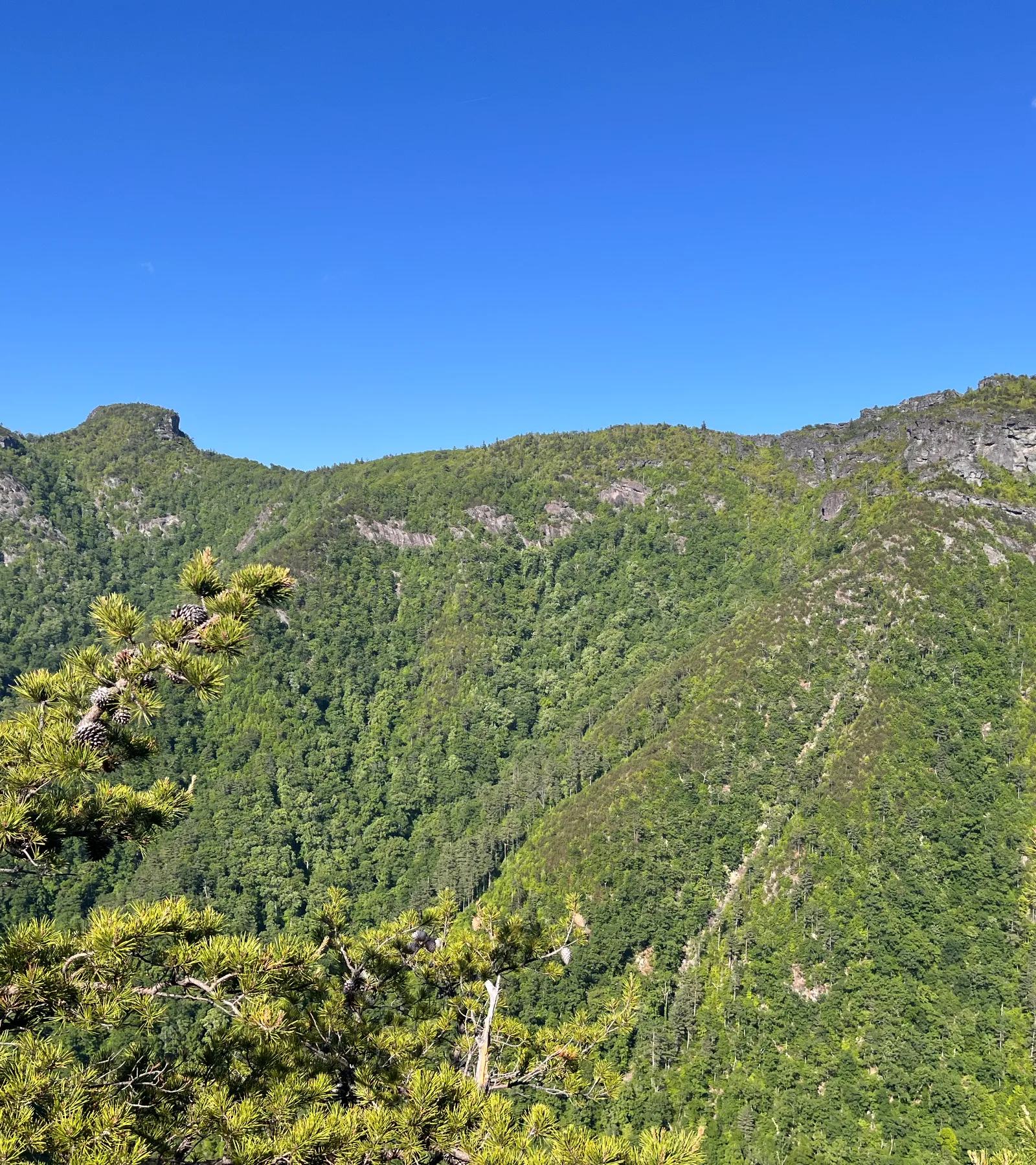 People hiking down a grassy hillside.
